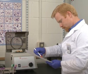 Клиника лечения наркозависимости в Курчатове Врач в кабинете клиники